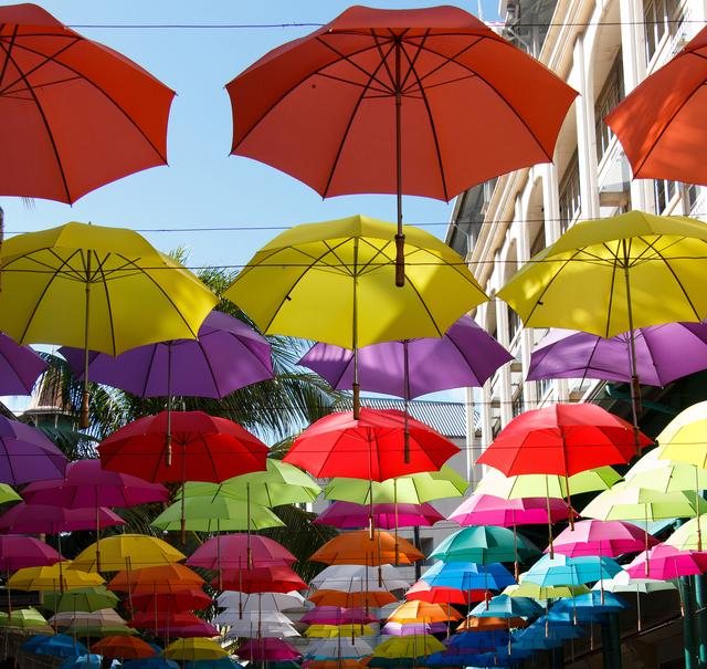 The introduction of ​Sunny umbrella